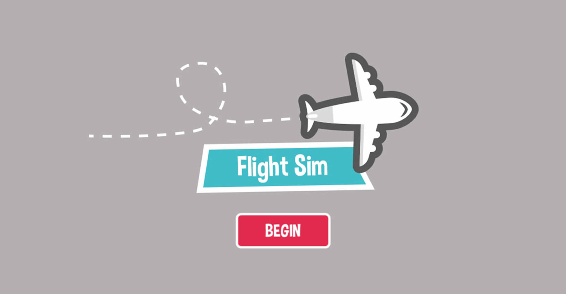 Flight Sim